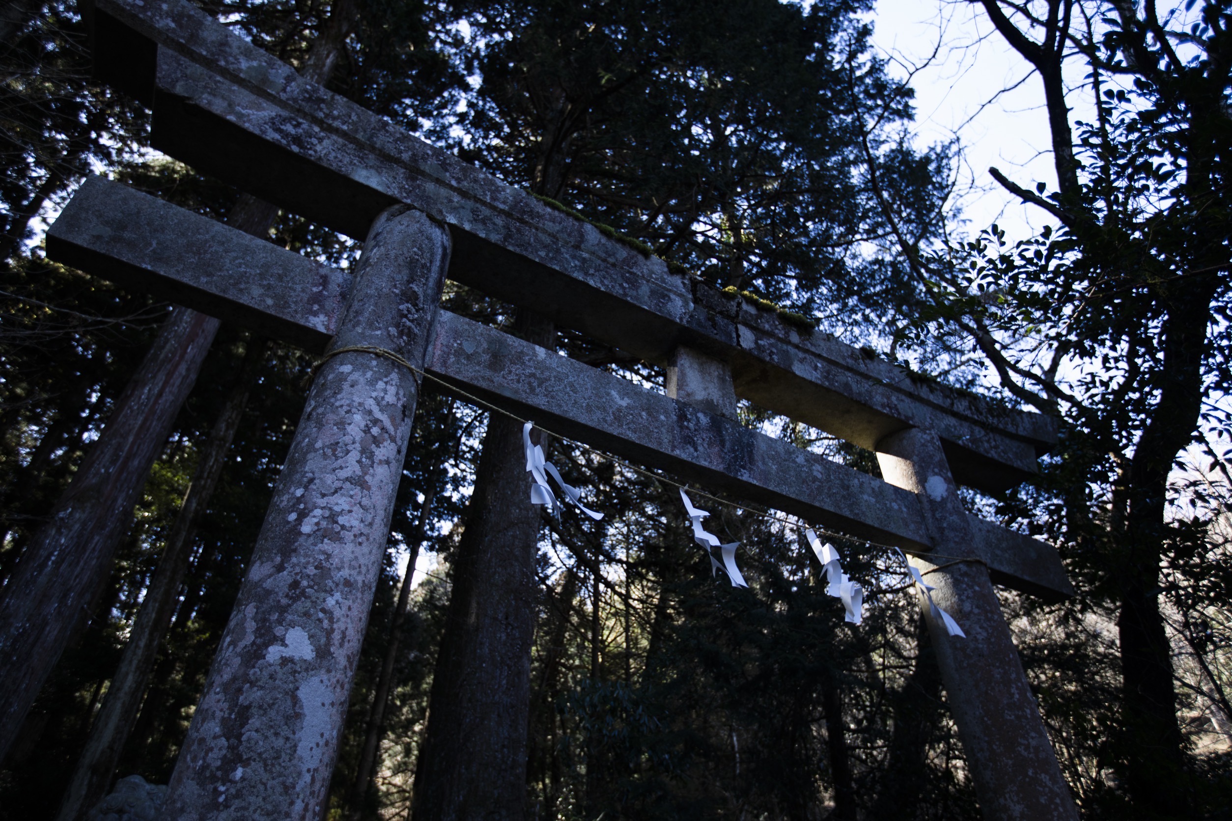 1769015233089 “KINKI อาถรรพ์คิงคิ” ภาพยนตร์สยองขวัญแห่งยุค เข้าฉายวันที่ 26 กุมภาพันธ์นี้ ในโรงภาพยนตร์