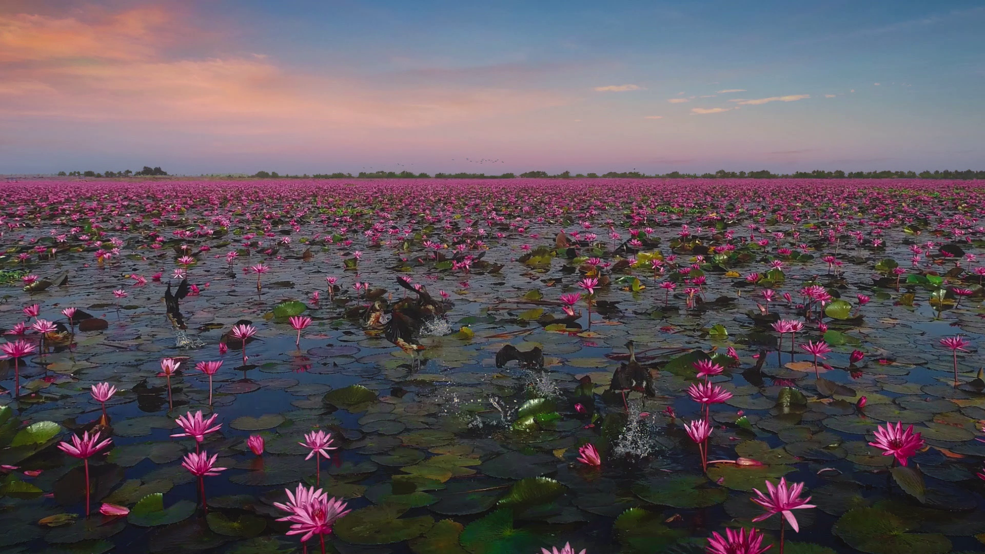 Amazing Thailand x LISA Feel All The Feelings TVC release 16 ลิซ่า - ลลิษา แท็กทีมซุปตาร์ไทย วิน - เมธวิน, กลัฟ - คณาวุฒิ, บลู - พงศ์ทิวัตถ์ พาโลกสัมผัส "Feel All The Feelings" ในโฆษณาชุดใหม่จาก ททท.