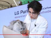 เจฟ ซาเตอร์ ชี้ทางให้แมวฟิน! LG PuriCare™ AeroCat Tower คอนโดแมวฟอกอากาศ Under Construction - StarEnews.com