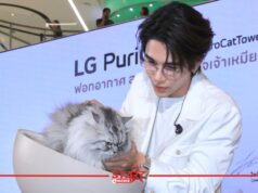 เจฟ ซาเตอร์ ชี้ทางให้แมวฟิน! LG PuriCare™ AeroCat Tower คอนโดแมวฟอกอากาศ