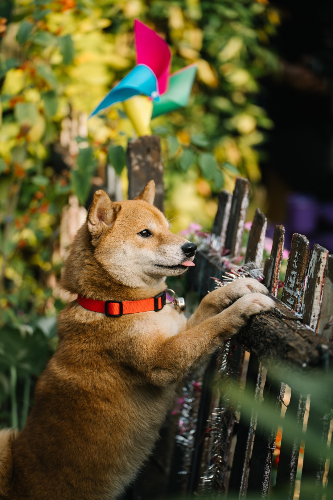 OB403359 ETC. x OZEEOOS ส่งซิงเกิลใหม่ “ไม่อยากให้เป็นฝัน (No More Dream)” ตัวแทนของห้วงคำนึงและการเฝ้ารอ