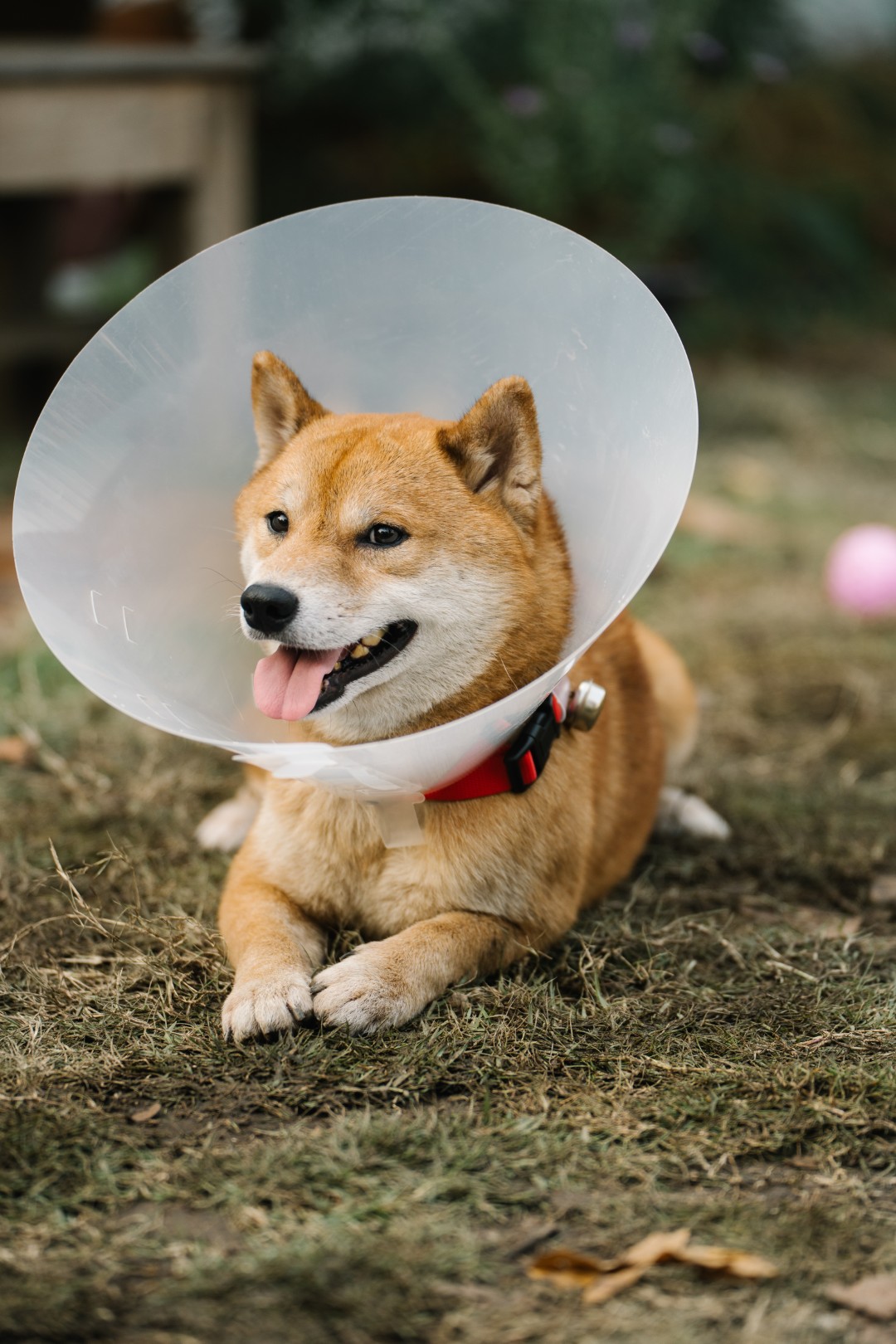 OB403422 ETC. x OZEEOOS ส่งซิงเกิลใหม่ “ไม่อยากให้เป็นฝัน (No More Dream)” ตัวแทนของห้วงคำนึงและการเฝ้ารอ