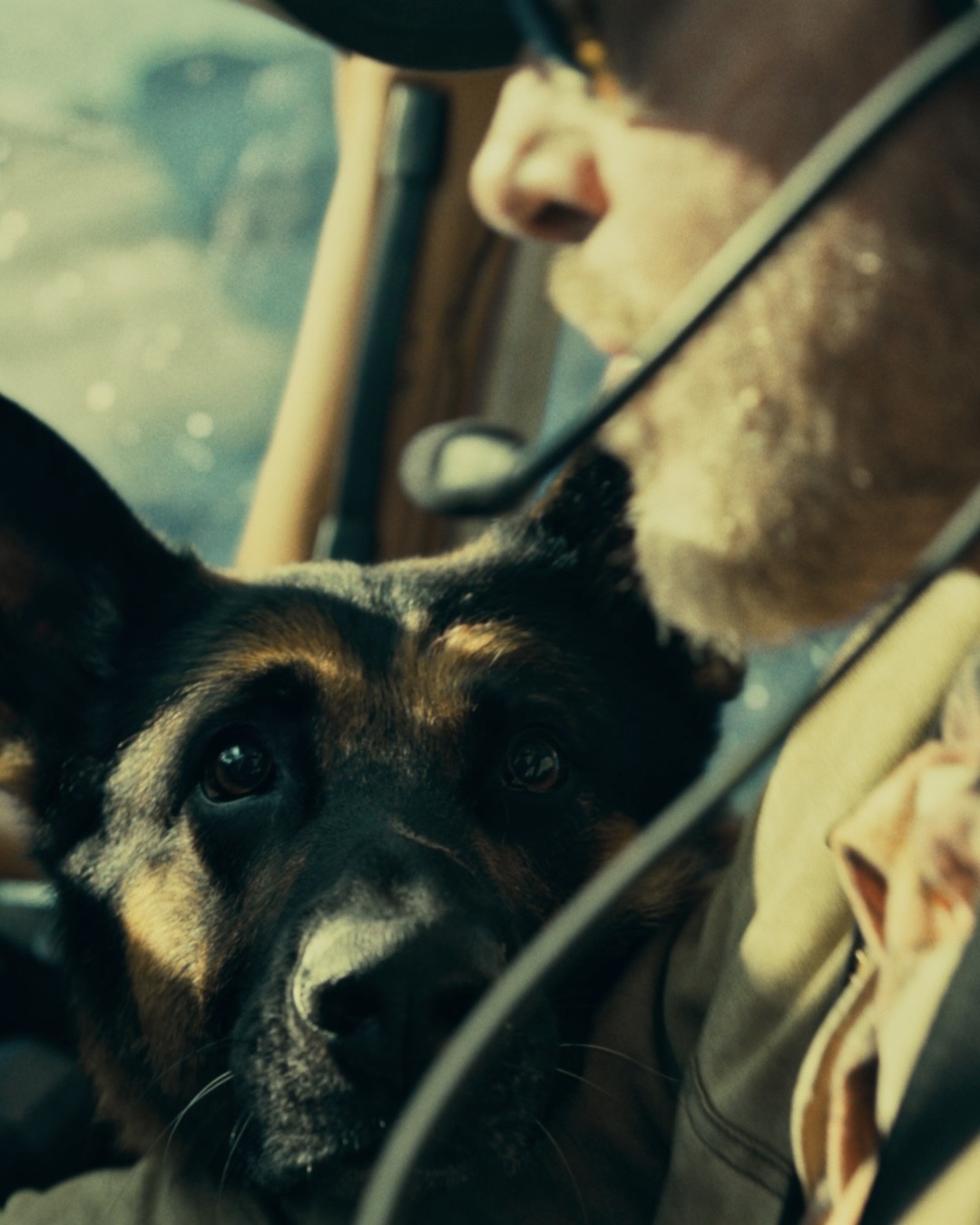 BRAD ODIN PLANE.00086694 รีวิวหนัง "Heart of the Beast" ปล่อยโฮกันทั้งโรง! 24 กันยายน 2026 นี้ ในโรงภาพยนตร์