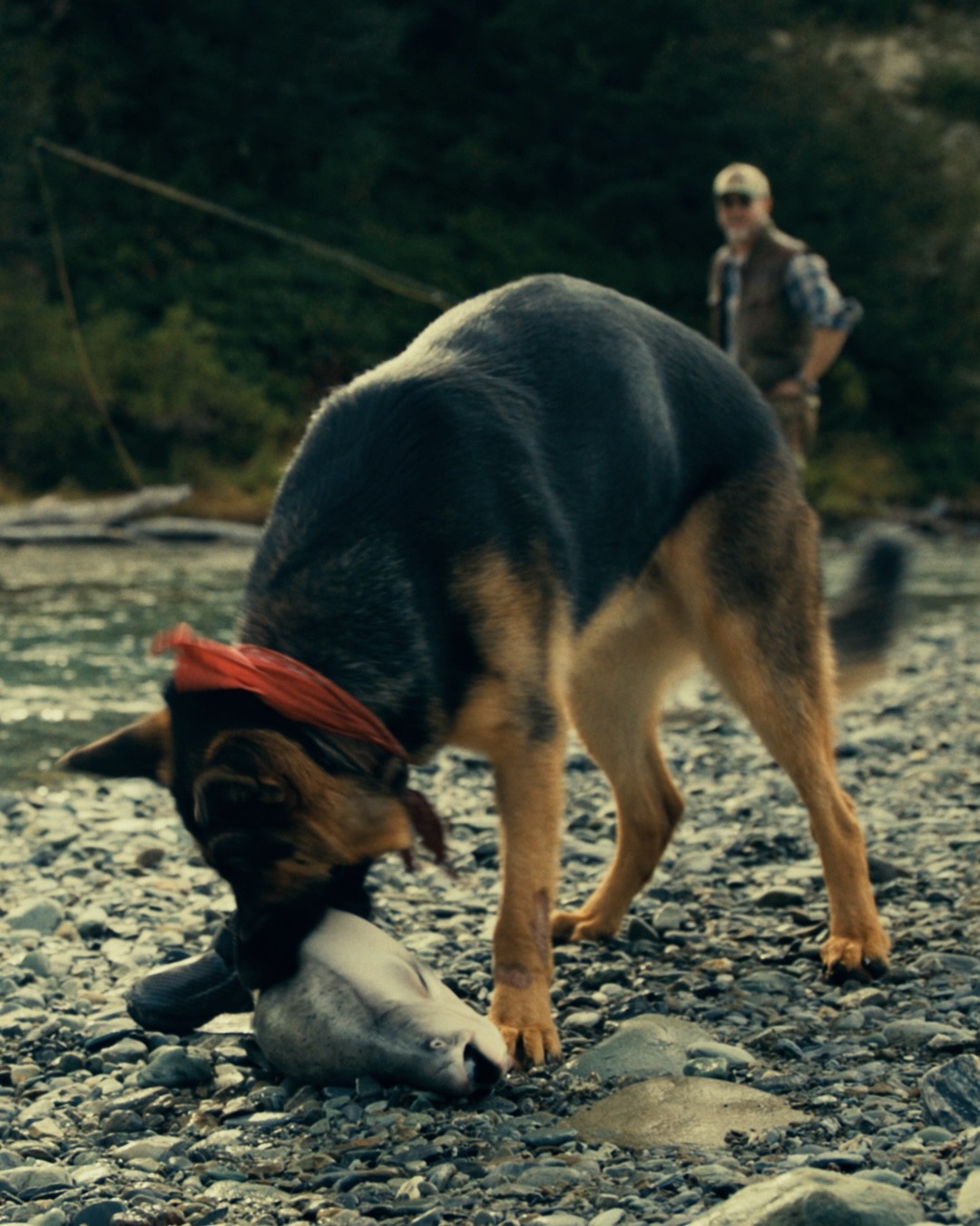 ODIN FISH.00086511 รีวิวหนัง "Heart of the Beast" ปล่อยโฮกันทั้งโรง! 24 กันยายน 2026 นี้ ในโรงภาพยนตร์