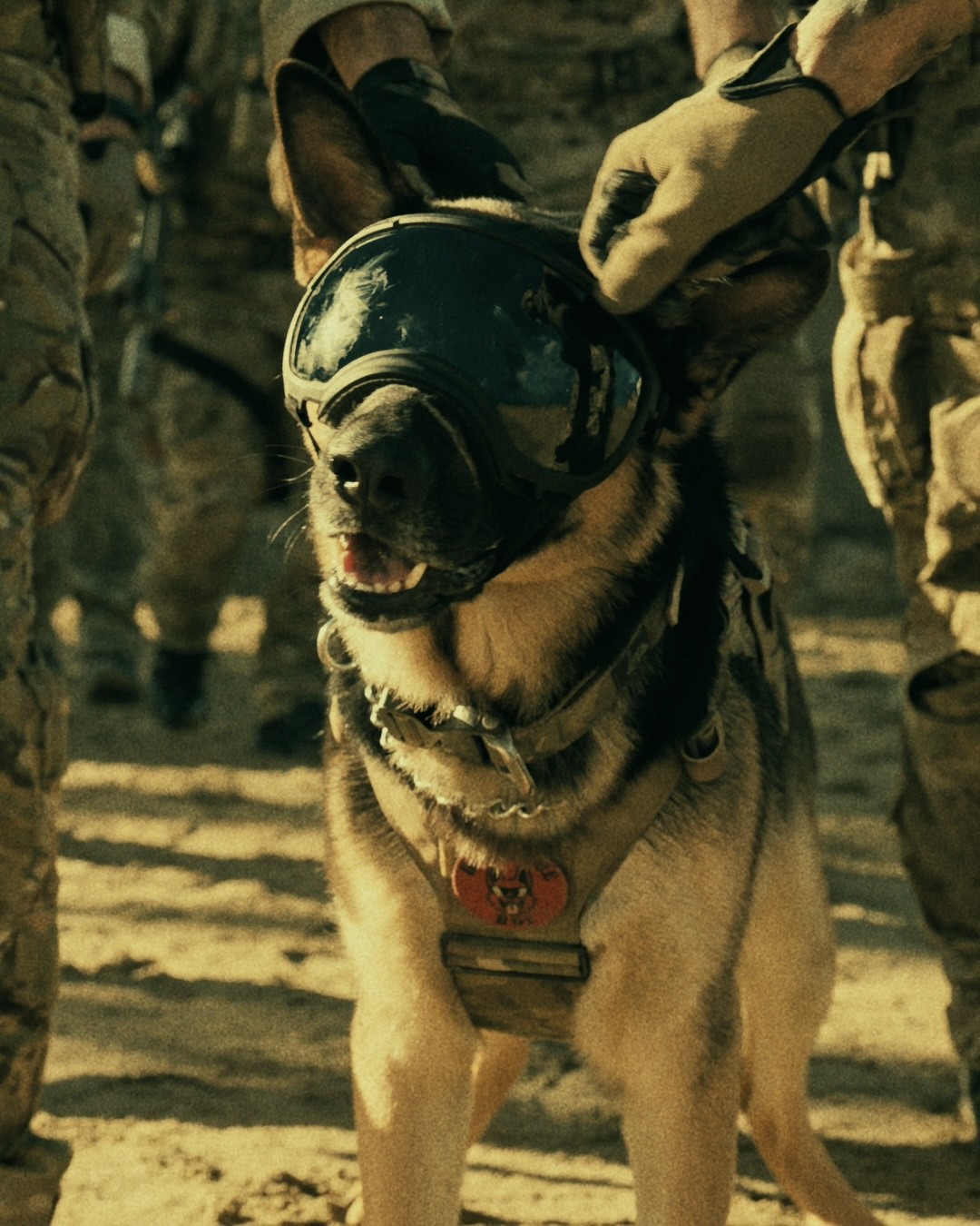 ODIN GOGGLES.00086795 รีวิวหนัง "Heart of the Beast" ปล่อยโฮกันทั้งโรง! 24 กันยายน 2026 นี้ ในโรงภาพยนตร์