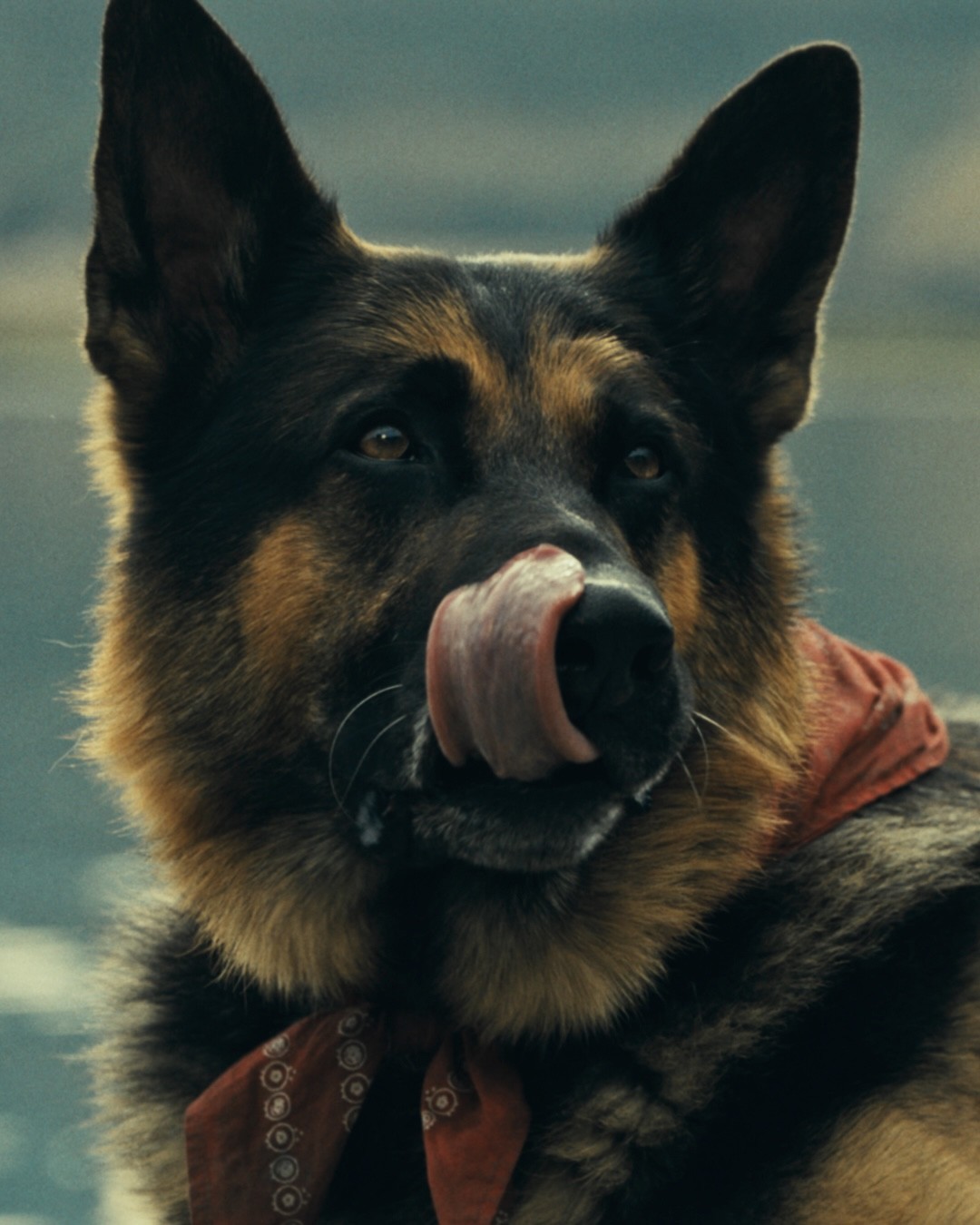 ODIN TONGUE.00086883 รีวิวหนัง "Heart of the Beast" ปล่อยโฮกันทั้งโรง! 24 กันยายน 2026 นี้ ในโรงภาพยนตร์