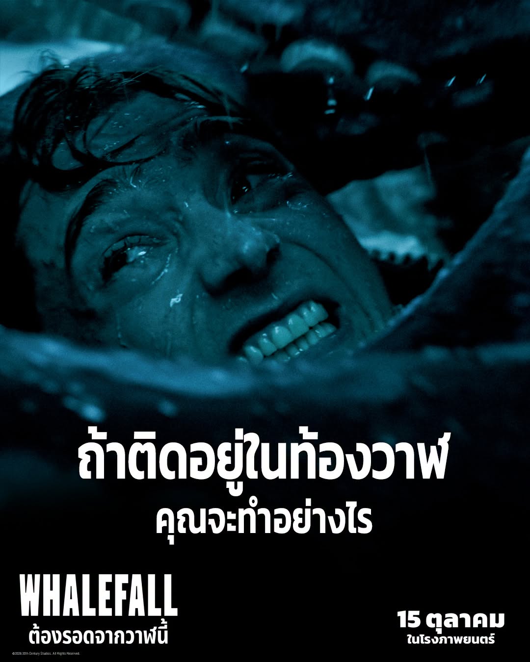 3 เหตุผลต้องห้ามพลาด “Whalefall ต้องรอดจากวาฬนี้” 15 ตุลาคม ในโรงภาพยนตร์ทั่วประเทศ 1 1791991153933 3 เหตุผลต้องห้ามพลาด “Whalefall ต้องรอดจากวาฬนี้” 15 ตุลาคม ในโรงภาพยนตร์ทั่วประเทศ