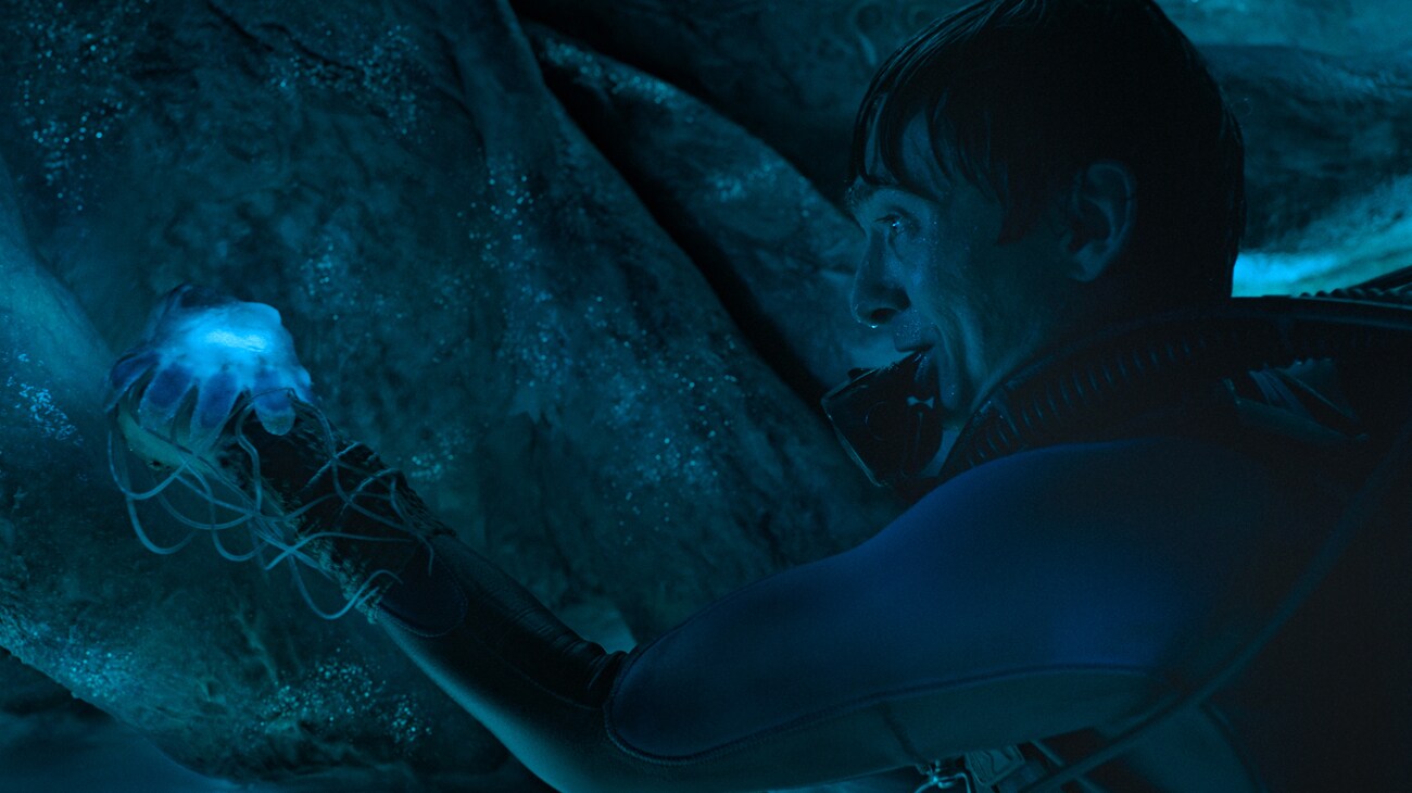 Whalefall Still 09 3 เหตุผลต้องห้ามพลาด “Whalefall ต้องรอดจากวาฬนี้” 15 ตุลาคม ในโรงภาพยนตร์ทั่วประเทศ